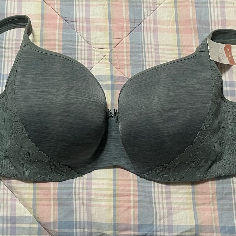 Lane Bryant Gray Full-Coverage Bra with Underwire